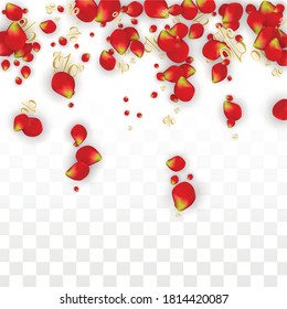 Vector Spring or Summer Sale Background with Flowers and Percent for  Poster Design. Good for Special Hot Holiday Discount Offer, Black Friday, Fashion Promotion Action. Romantic Rose Illustration.