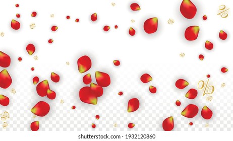 Vektorfrühlings- oder Sommervertrieb-Hintergrund mit Blumen und Prozent für Vorlagendesign. Gut für Special Hot Holiday Rabatt Angebot, Black Friday, Fashion Promotion Action. Romantische Rosenillustration.