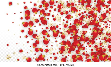 Vector Spring or Summer Sale Background with Flowers and Percent for  Template Design. Good for Special Hot Holiday Discount Offer, Black Friday, Fashion Promotion Action. Romantic Rose Illustration.