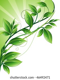 Vector spring template with twigs of tree and sun rays. Nature background with green leaves.