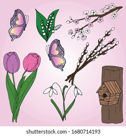Vector. Spring. Thematic sketch. Tulips, birdhouse, snowdrops, butterfly