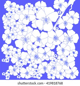 Vector Spring White Flowers