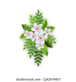 Vector spring white flowers with leaves pattern. Beautiful apple tree or cherry blooming floral for romantic decoration wedding marriage or dating card vintage design. Gentle summer plant illustration