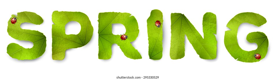 Vector Spring word, made from green leaves, isolated on white

