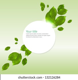 Vector spring-summer banner