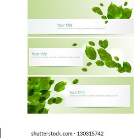 Vector spring-summer banners