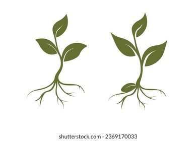 Vector sprouts, three leaves, roots, seed. Organic creative symbol concept, natural biocosmetics, nature