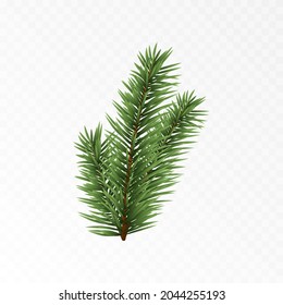 Vector spruce branch. Spruce branches png, pine, spruce. Christmas decorations.