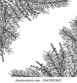 Vector spruce branches and heather flowers square monochrome border with empty space for text. Winter decor for Scandinavian Christmas cards, herbal remedy packaging, and rustic holiday branding.