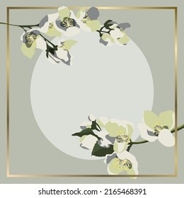 Vector square background with blooming jasmine branches and golden frame