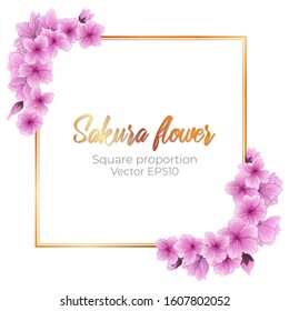 Vector square banner with asian sakura flowers and bud in watercolor imitation technique. Square gold frame with cherry blossom flower. Springtime banner blooming sakura flowers with place for text
