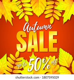 Vector square banner with pattern of 3d yellow maple, oak and rowan leaves on top and bottom. Text Autumn Sale. Red background.