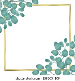 Vector square banner template with hand drawn eucalyptus branch illsutration with watercolor imitation and gold frame on white background. Best for flyer, posters or web design. Stock illustration.