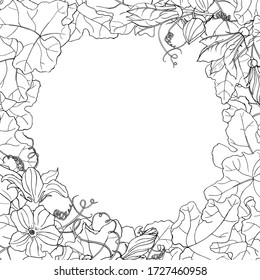 Vector square black and white autumn card. Square frame of leaves and flowers of pumpkin on white background. Hand line drawing. Interesting silhouette for your zen art or coloring book.
