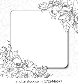Vector square black and white card. Corner frame with pumpkins, leaves and flowers, rounded square frame on background with leaves. Hand line drawing. Interesting silhouette for your coloring book.