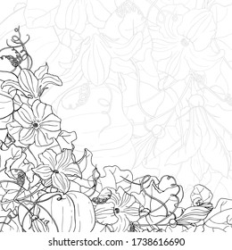 Vector square black and white card. Corner frame with pumpkins, leaves and flowers on line background. Hand line drawing. Template for Thanksgiving greeting card. Harvest festival.