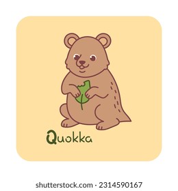 Vector square card from the alphabet with a cute animal for kids learning. The letter Q - quokka. Illustration with caption. Hand-drawn character on a yellow background with a white frame