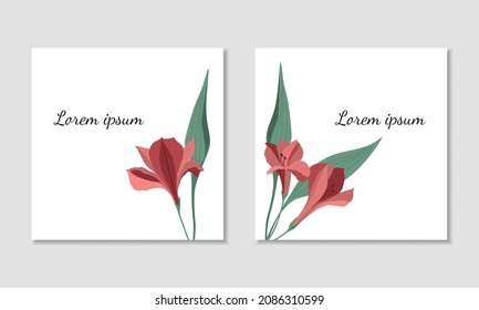 Vector square card template with red alstroemerias. Two different designs