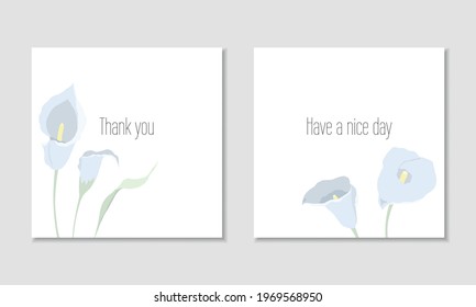 Vector square cards template with light blue calla lilies