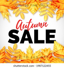 Vector Square Discount Banner. ext Autumn Sale.Yellow Maple, Oak and Rowan Leaves. Flowing Red Texture. Isolated on White Background.