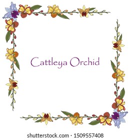 Vector square frame Cattleya Orchid isolated on white. Beautiful tender cream, blue, yellow, red color orchids. Botanical design