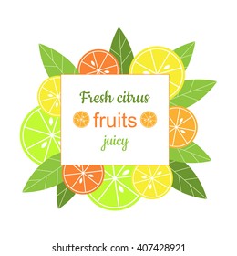 Vector square frame with citrus. Banner with stylized citrus fruits and leaves. Grapefruit, lime, lemon and orange. Citrus mix isolated on white background
