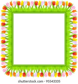 Vector square frame of colorful spring tulips: red, yellow, pink, orange, white, in a light green grass, isolated on white background