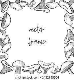 vector square frame of mushrooms: honey mushrooms, chanterelles, white mushrooms, mushrooms. engraving style