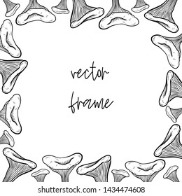 vector square frame of mushrooms: honey mushrooms, chanterelles, white mushrooms, mushrooms. engraving style