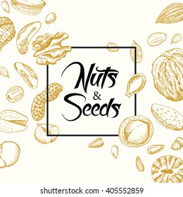 Vector square frame of nuts and seeds. Vector  illustration for your design 