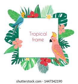 Vector  square frame with tropical birds and leaves. Exotic parrot: cockatoo  and  Cockatiel and plants: monstera, banana, hibiscus, palm . Illustration in flat style.