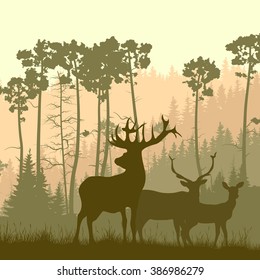 Deer Family Silhouette Hd Stock Images Shutterstock