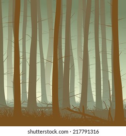 Vector square illustration inside misty coniferous forest with grass in green tone.