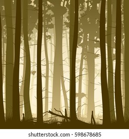 Vector square illustration inside misty coniferous forest with grass.