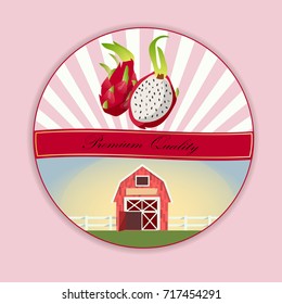 Vector square label, pitaya jam, sauce or juice label. Ripe pitahaya for food and drink label, tropical dessert or exotic juice packaging design