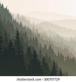 Vector square landscape of wild coniferous forest in morning fog in dark green tone.