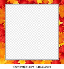 Vector Square Photo Frame, Border With Fallen Autumn Leafage On Transparent Background With Copy Space For Text. Abstract Autumnal Template With Maple Leaves. Fall Season Greeting Card, Poster, Flyer.