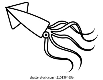 Vector squid from black lines on a white background. Abstract black and white vector illustration.