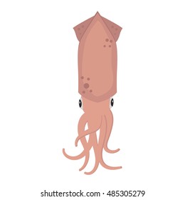 Vector squid cartoon illustration