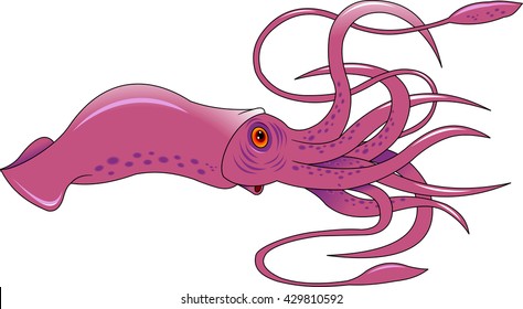 Vector Squid cartoon marine illustration. Vector Squid water ocean design
