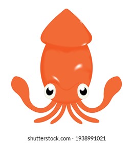 Vector squid fish with white background