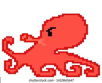 vector squid illustration graphic art design