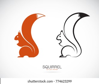 Vector of squirrel design on white background. Mammal. Animals.