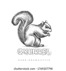 Vector squirrel with hand drawn style, illustration of black and white animal
