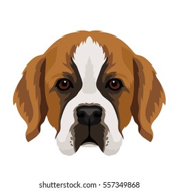 Vector st. bernard dog beautiful portrait pet icon face