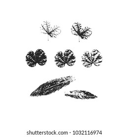 Vector stamp leaves set. Objects isolated on white. Silhouette leaves. Endless texture for nature design. Black and white.