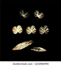 Vector stamp leaves set. Objects isolated on white. Silhouette leaves. Endless texture for nature design.