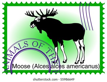 vector stamp with moose (Alces alces americanus) eps10