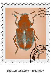 vector stamp with a picture of a beetle #3