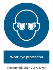 Vector Standard Mandatory Sign ISO International Pictogram Wear Eye Protection